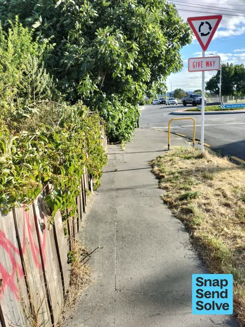 Overgrown Vegetation, a report photo