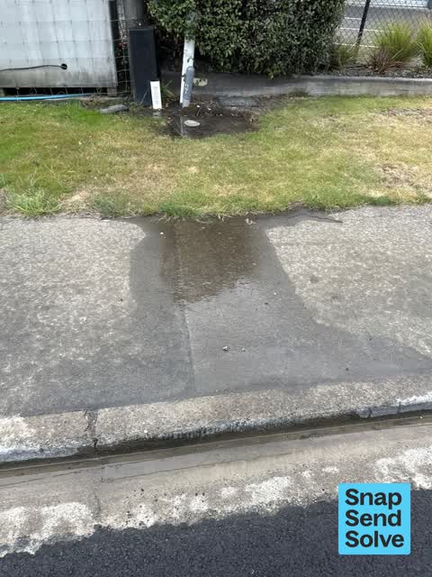 Water Leak, a report photo