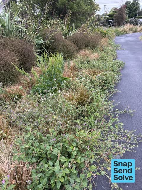 Overgrown Vegetation, a report photo