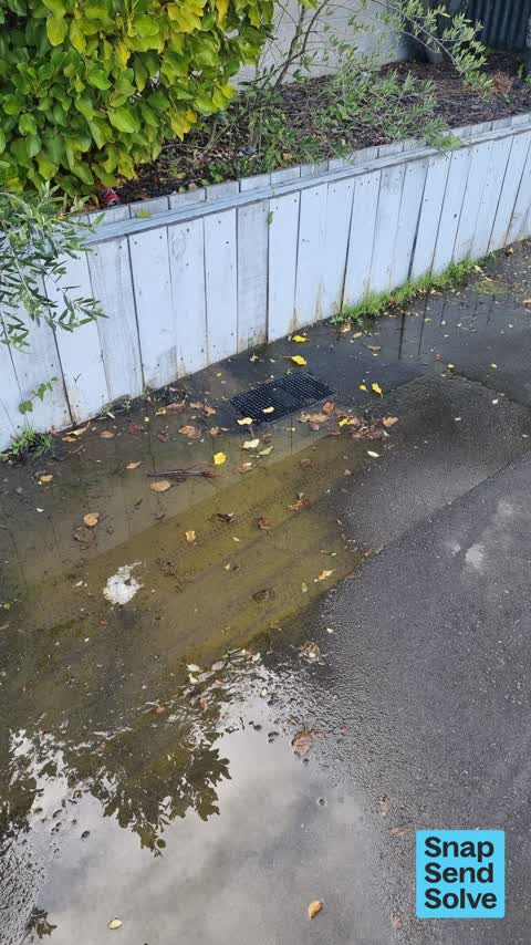 Water Leak, a report photo