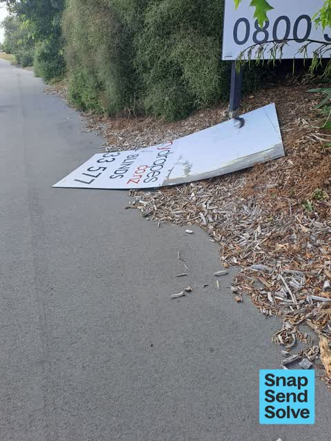 General Request, a report photo