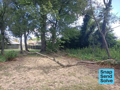 Park - General Request, a report photo
