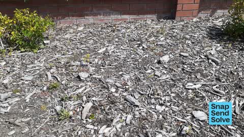 General Request, a report photo