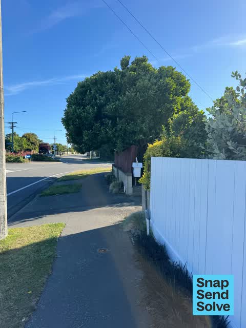 Overgrown Vegetation — a report photo