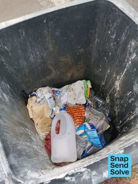 Rubbish and Bins - General, a report photo