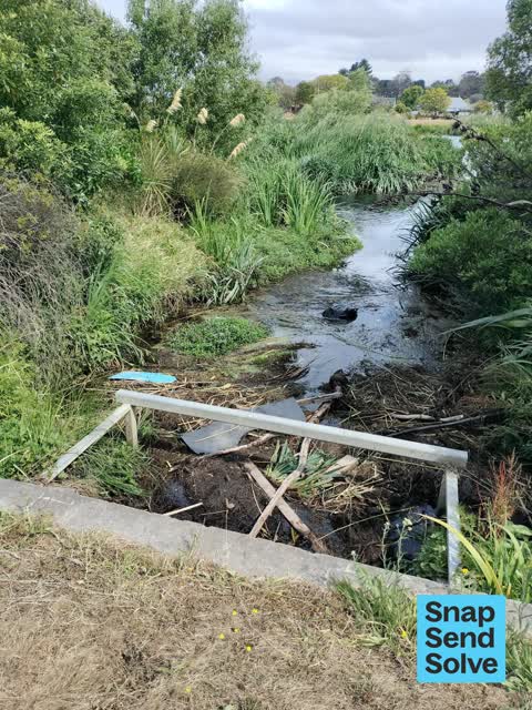 Litter — a report photo