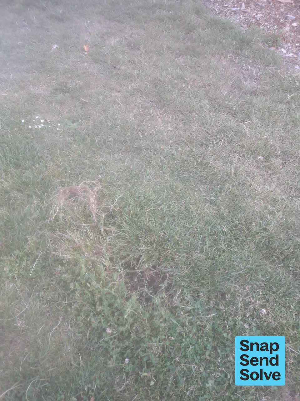 The photograph attached to this park - general request report