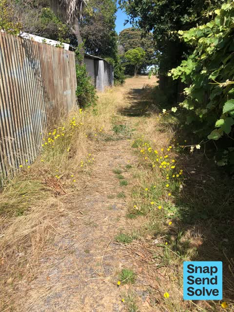 Overgrown Vegetation, a report photo