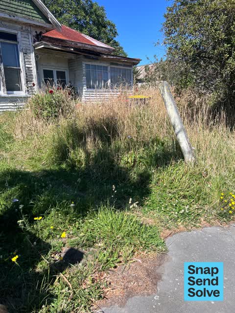 Overgrown Vegetation, a report photo