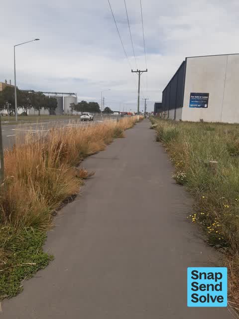 Overgrown Vegetation, a report photo