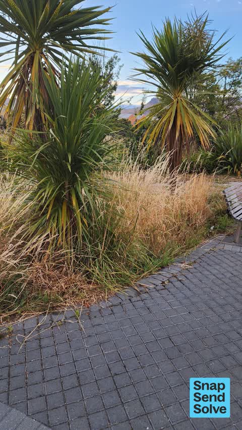 Overgrown Vegetation — a report photo