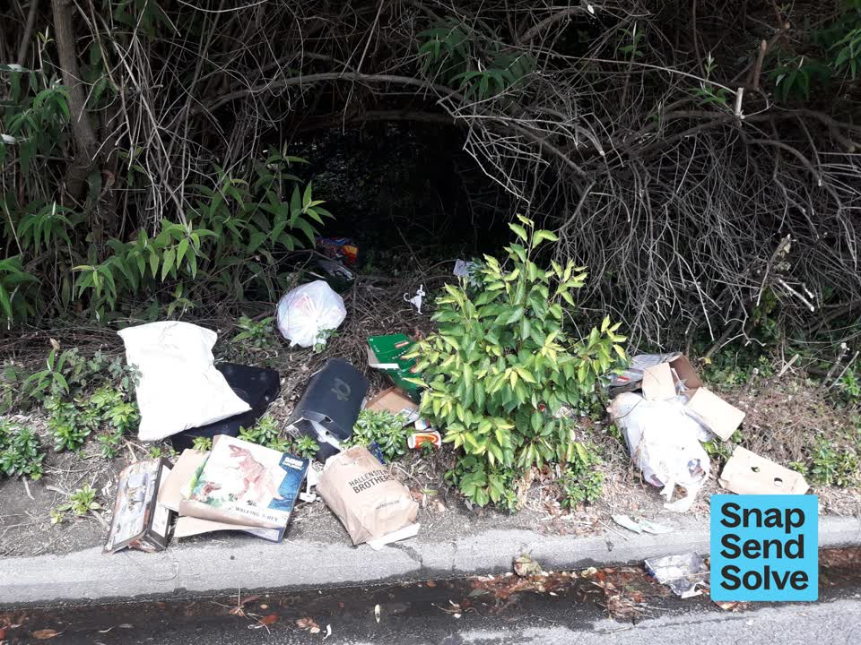 The photograph attached to this dumped rubbish report