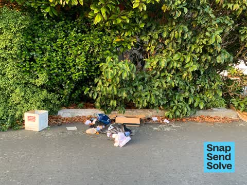 Litter, a report photo