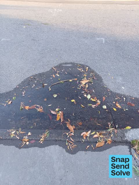 Water Leak, a report photo