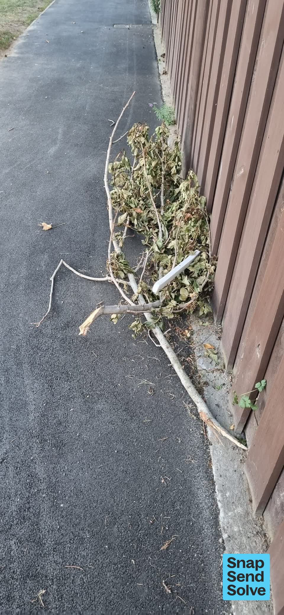 The photograph attached to this trees - general report