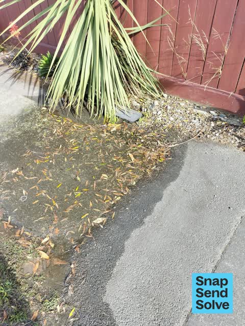 Pavement - Damaged, a report photo