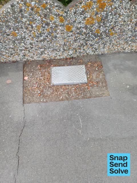 Pavement - Damaged, a report photo
