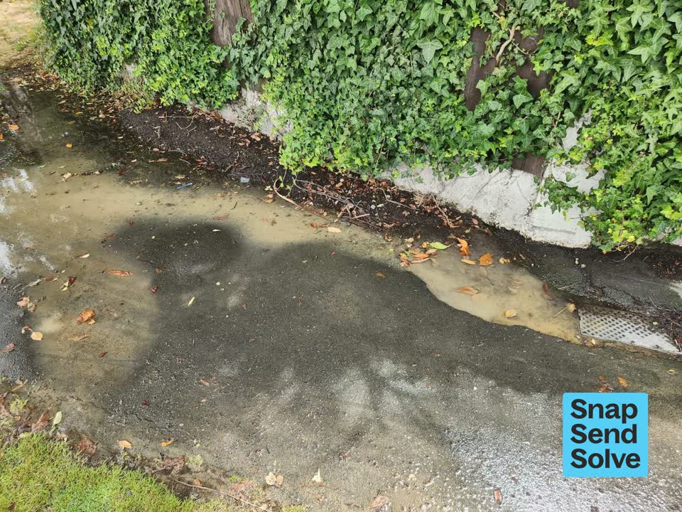 The photograph attached to this water leak report