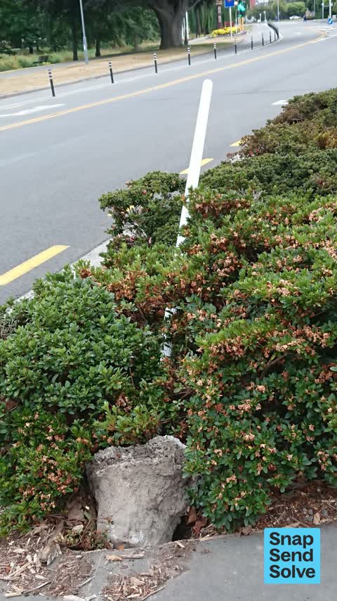 Damaged Street Sign — a report photo