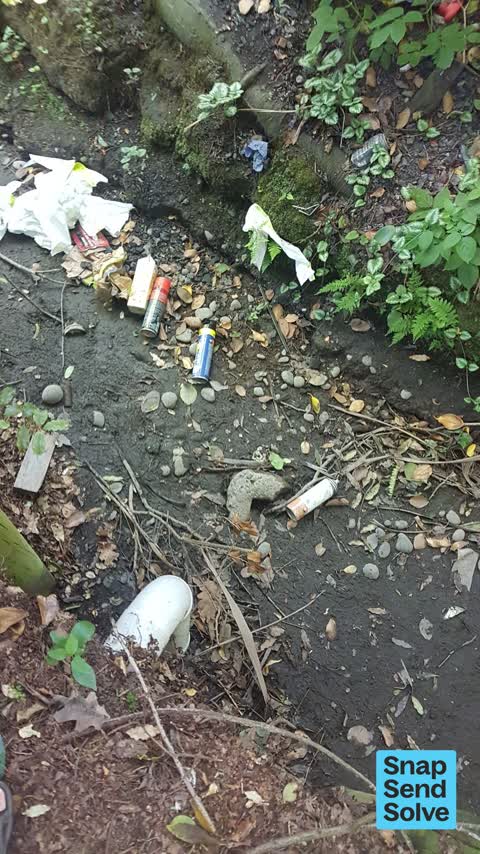 General Request, a report photo