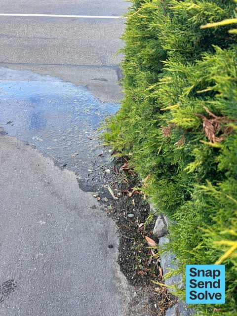 Street Gutters / Storm Water, a report photo