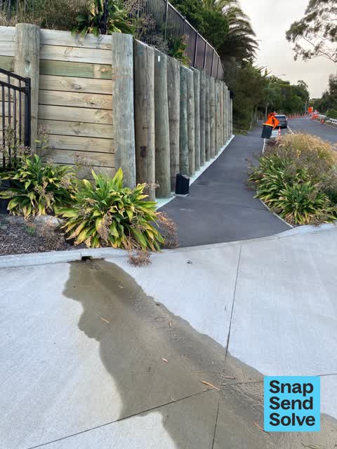 Water Leak, a report photo