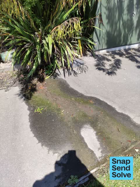 Water Leak, a report photo