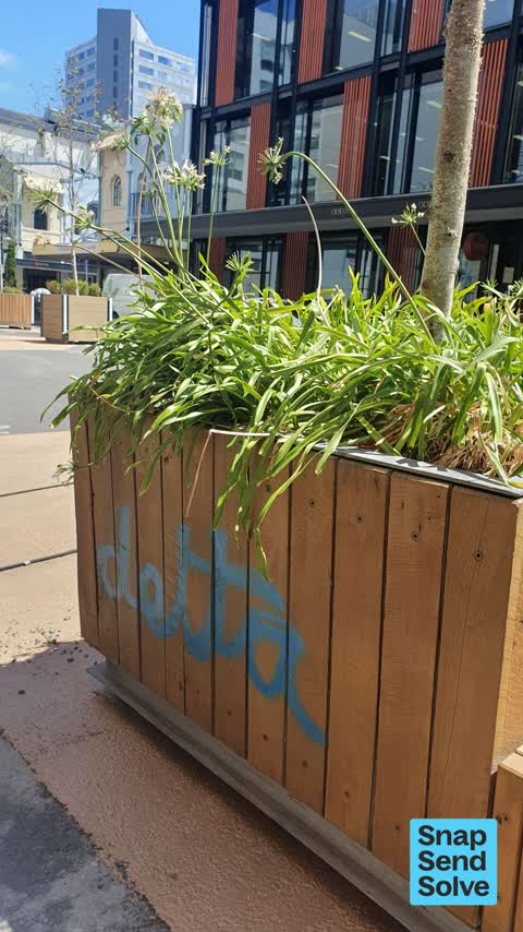 Graffiti, a report photo