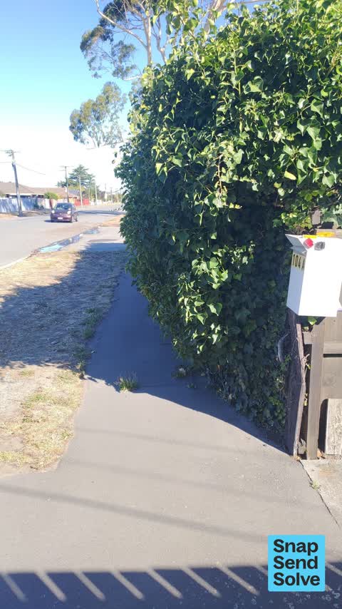 Overgrown Vegetation, a report photo