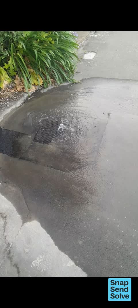 Water Leak, a report photo