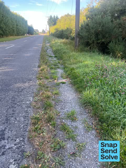 Roads - General, a report photo