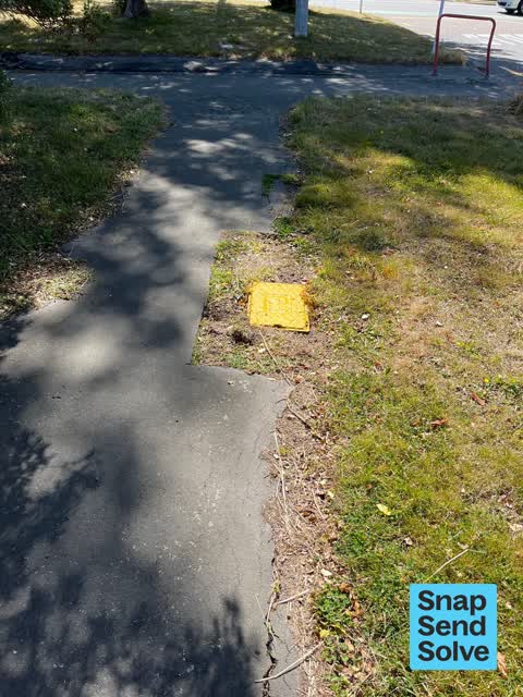 Pavement - Damaged, a report photo
