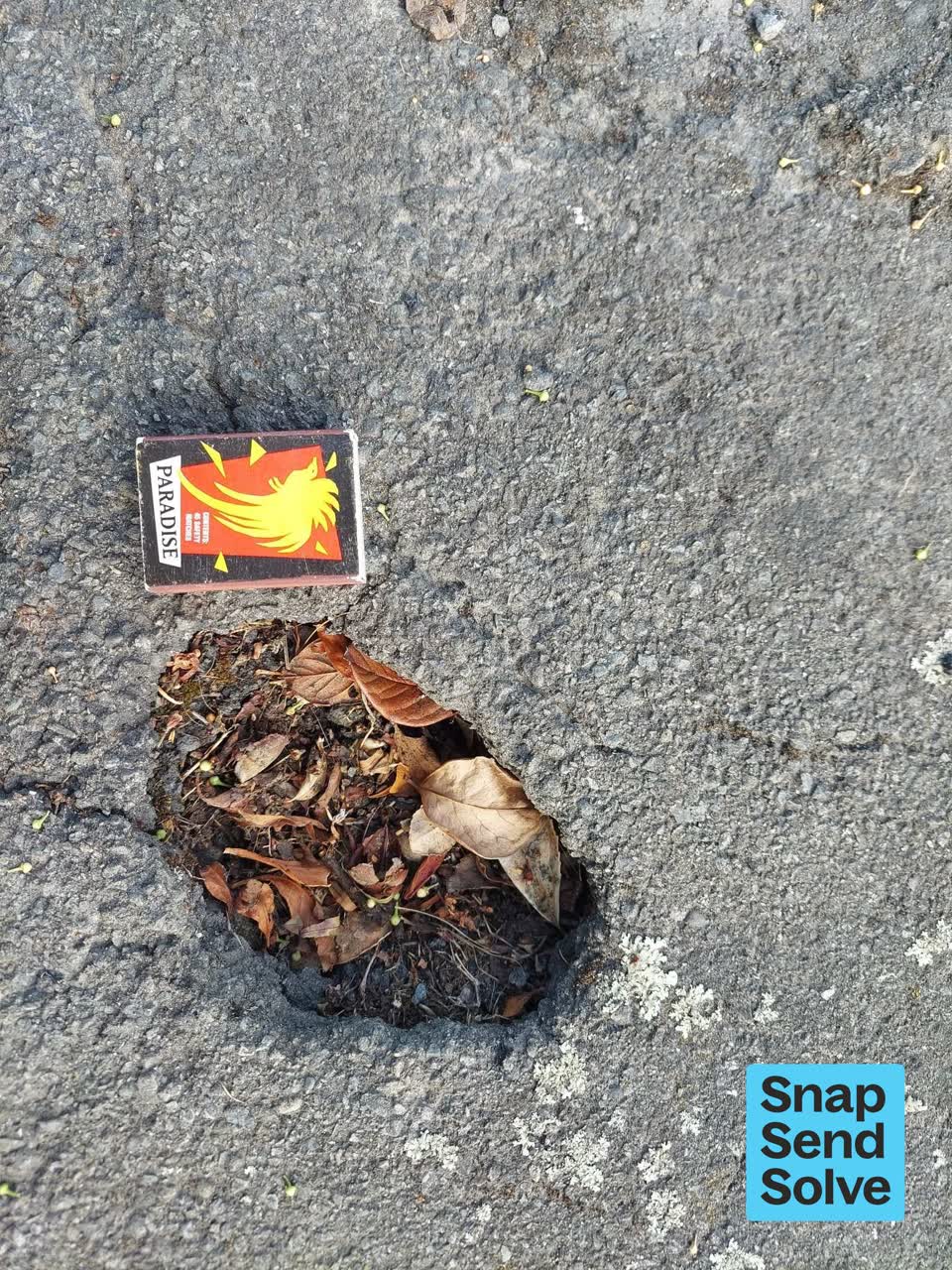 The photograph attached to this pavement - damaged report