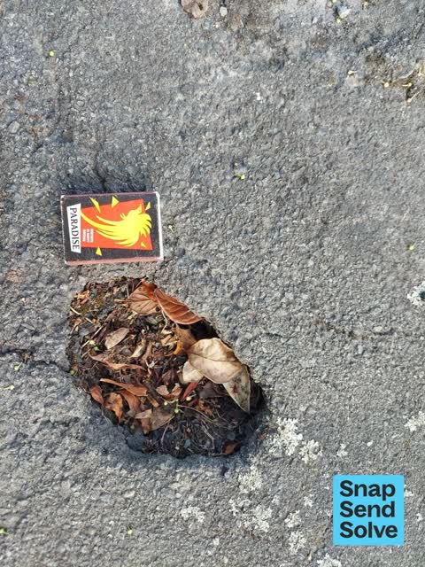 Pavement - Damaged, a report photo