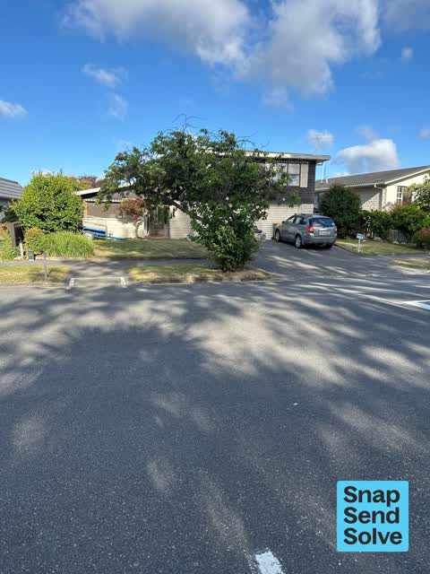 Overgrown Vegetation, a report photo