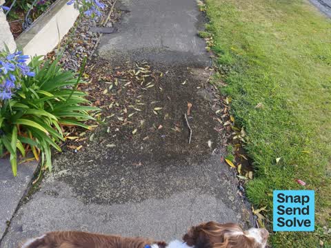 Water Leak, a report photo