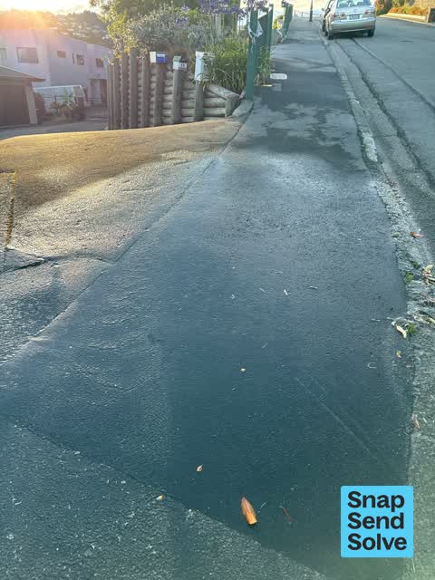 Water Leak, a report photo