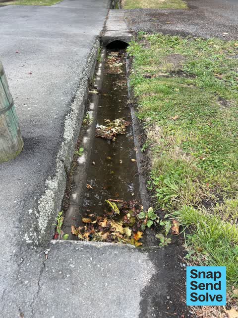 Street Gutters / Storm Water — a report photo