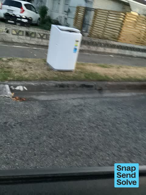 Rubbish and Bins - General, a report photo