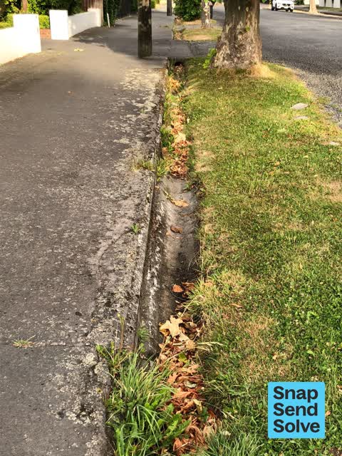 Street Gutters / Storm Water, a report photo