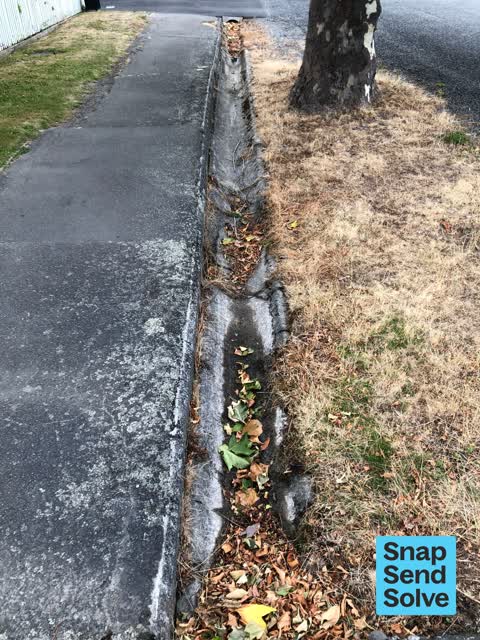 Street Gutters / Storm Water, a report photo