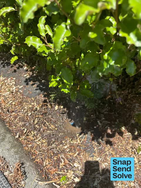 Water Leak, a report photo