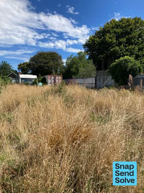 General Request, a report photo