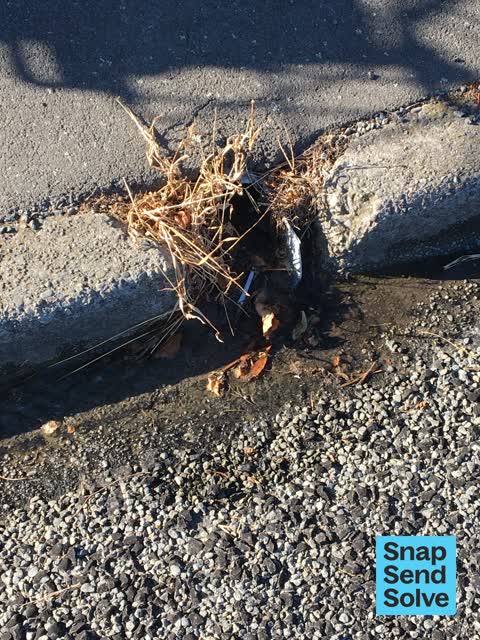 Water Leak, a report photo