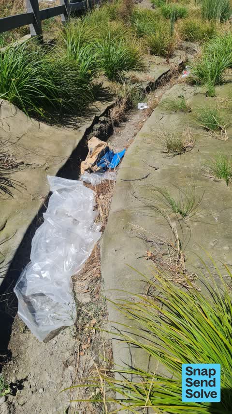 Litter, a report photo