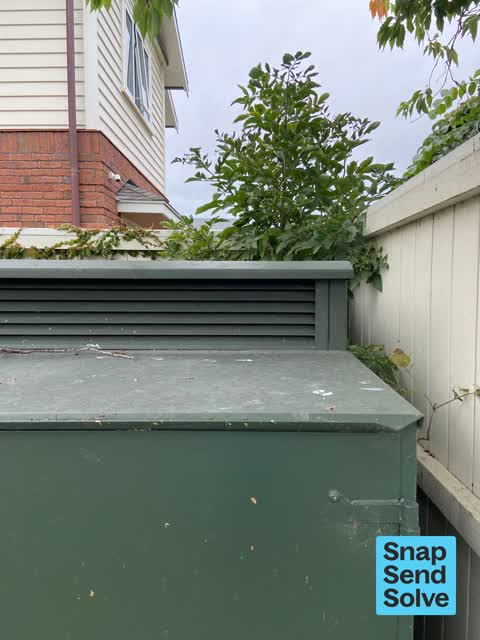 Overgrown Vegetation, a report photo