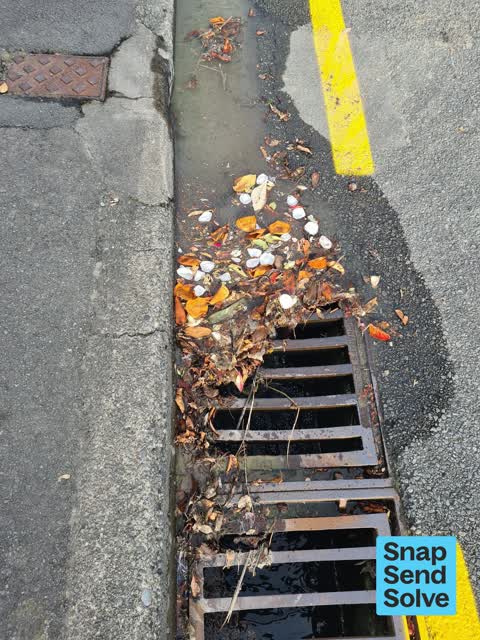 Sewer - Leak / Blockage, a report photo