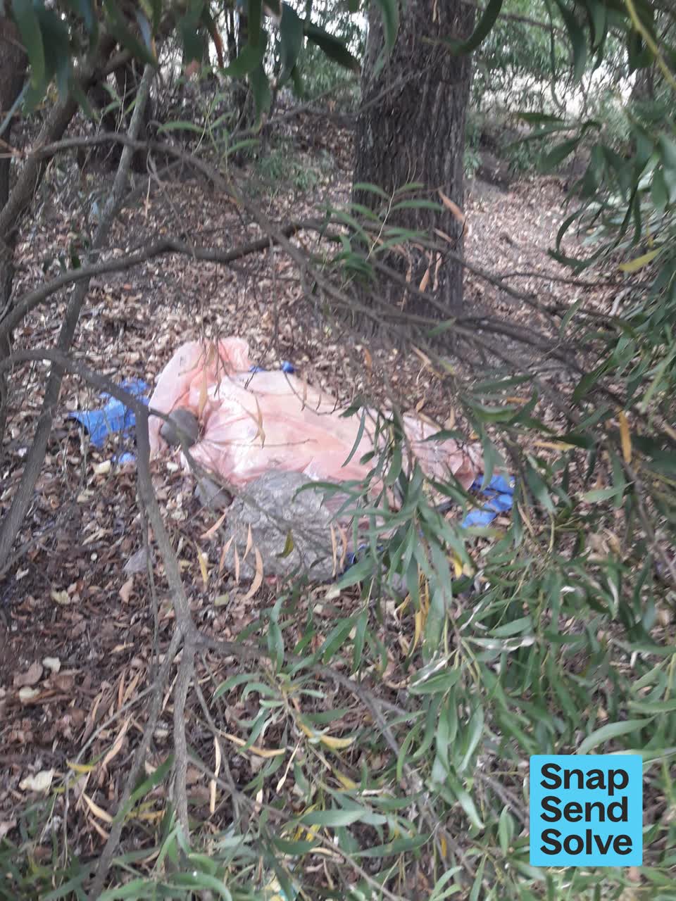 The photograph attached to this dumped rubbish report