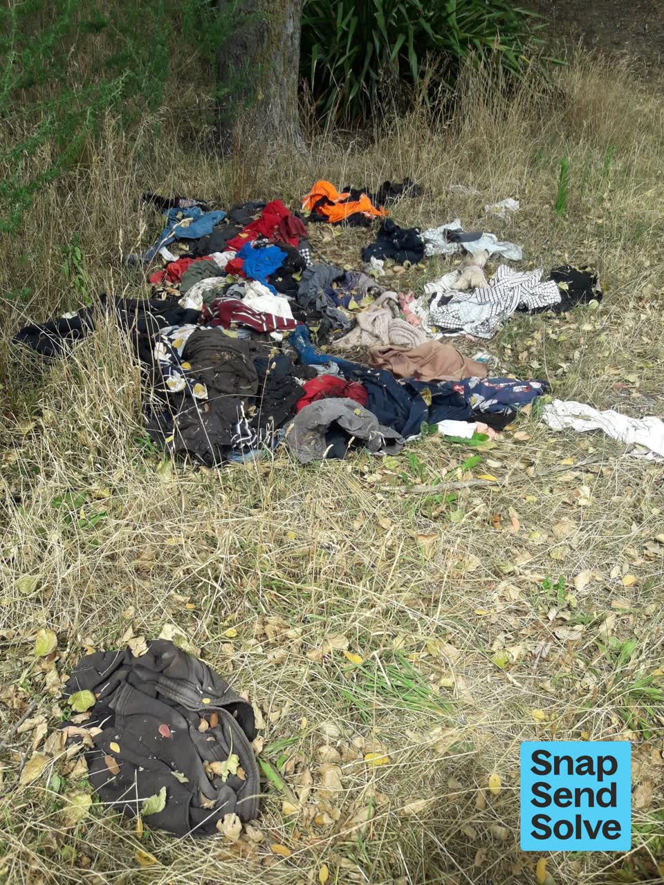 The photograph attached to this dumped rubbish report
