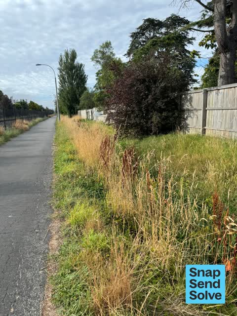 Overgrown Vegetation, a report photo